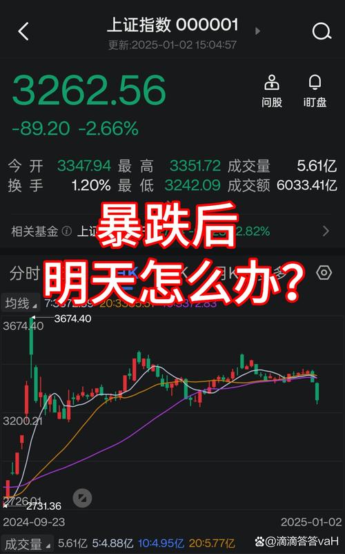 今天股市為什么開市，今天股市為什么都低開